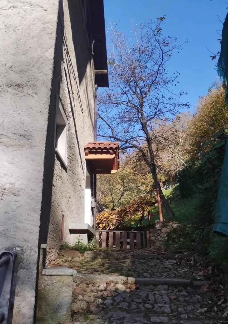 Alpaca'S House: Green, Animals & Lake View ベッラーノ エクステリア 写真